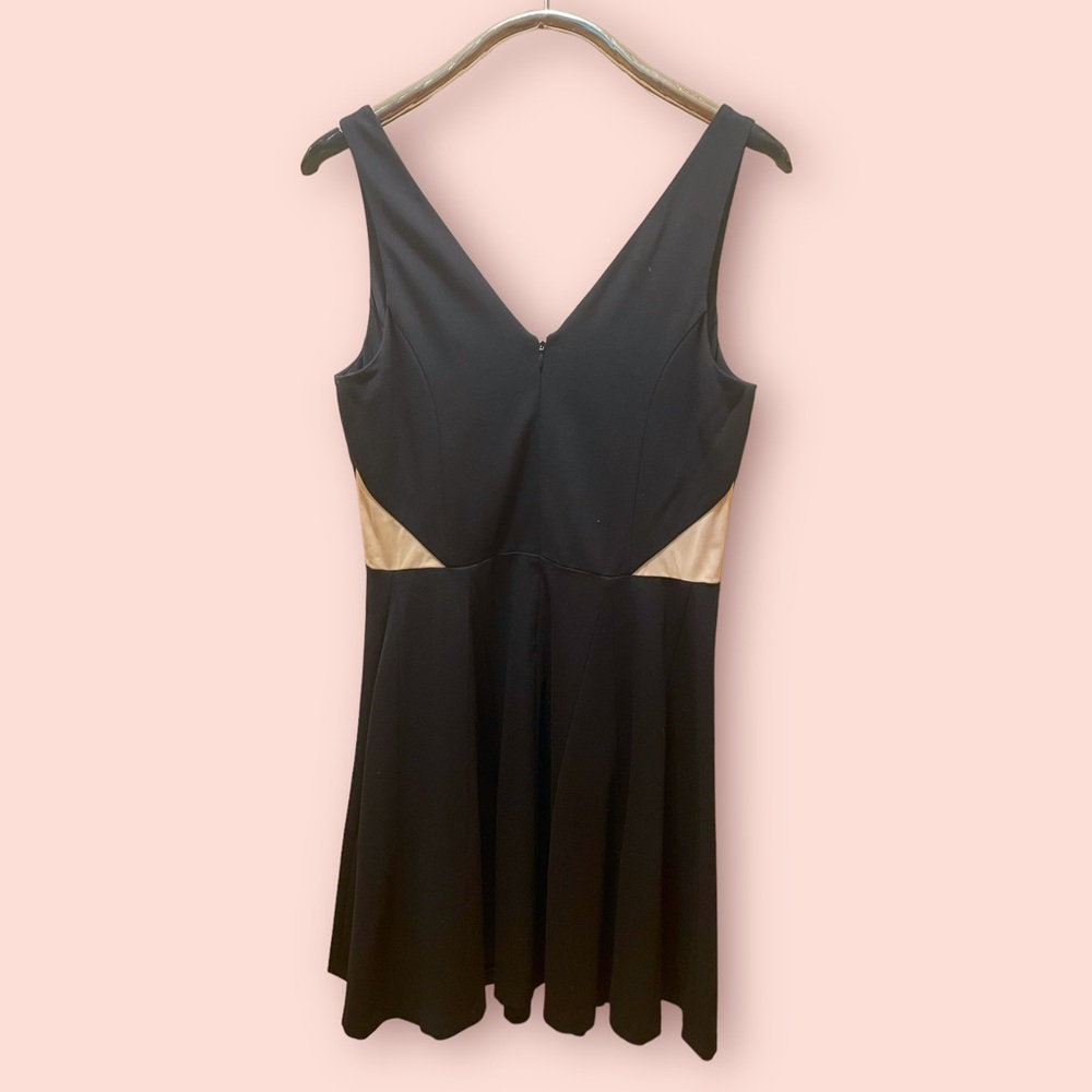 Erin Sleeveless V-neck Mini Silhouette Dress